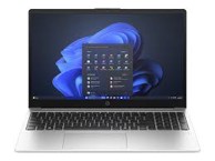 HP Laptop 255R G10 / AMD Ryzen 7 7735U, 15.6", 1920x1080, 16 GB, 1 TB SSD, Free DOS, srebrna